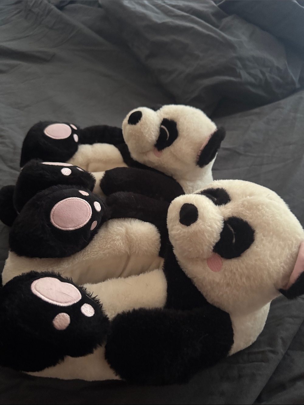 Panda slippers - Picture 7 of 8
